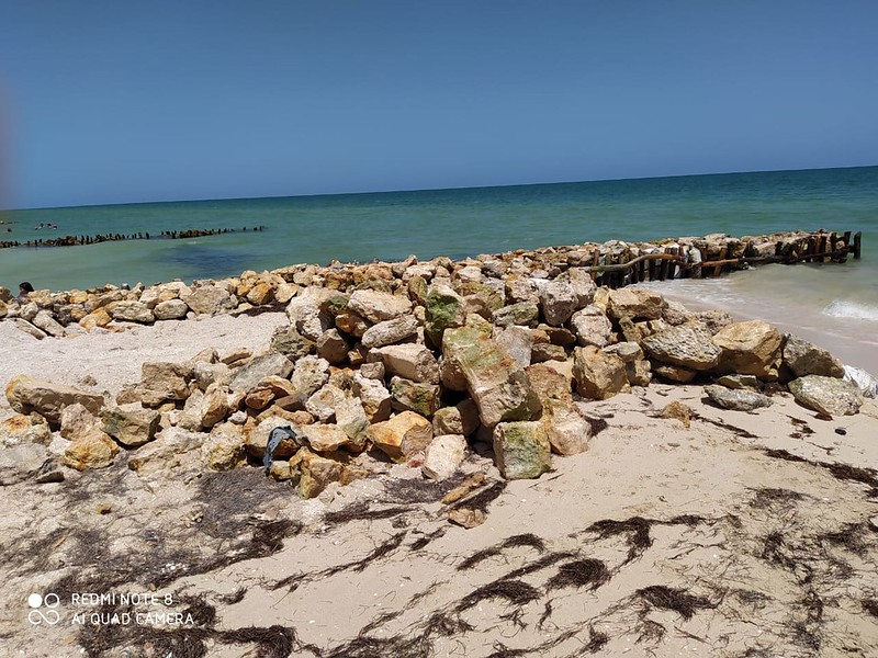 Tras denuncias espolones ilegales de Chelem regresan a la normalidad