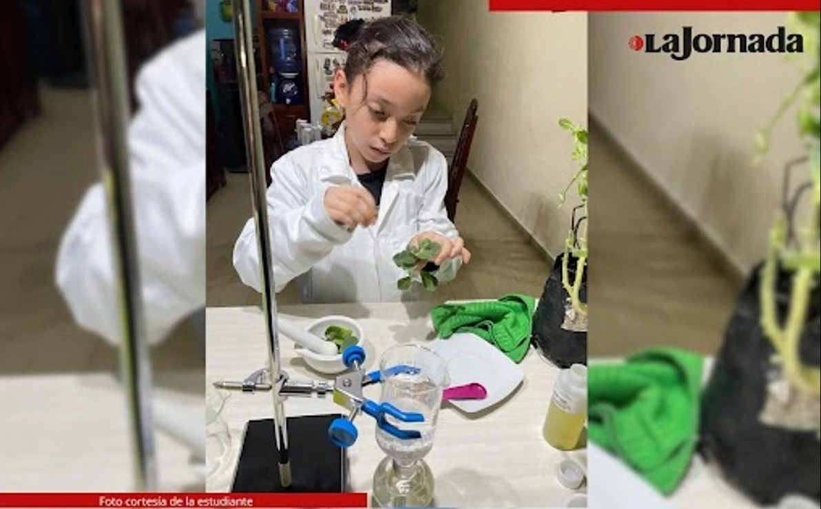 Faridy Velázquez, una estudiante de primaria busca alternativa para curar su asma