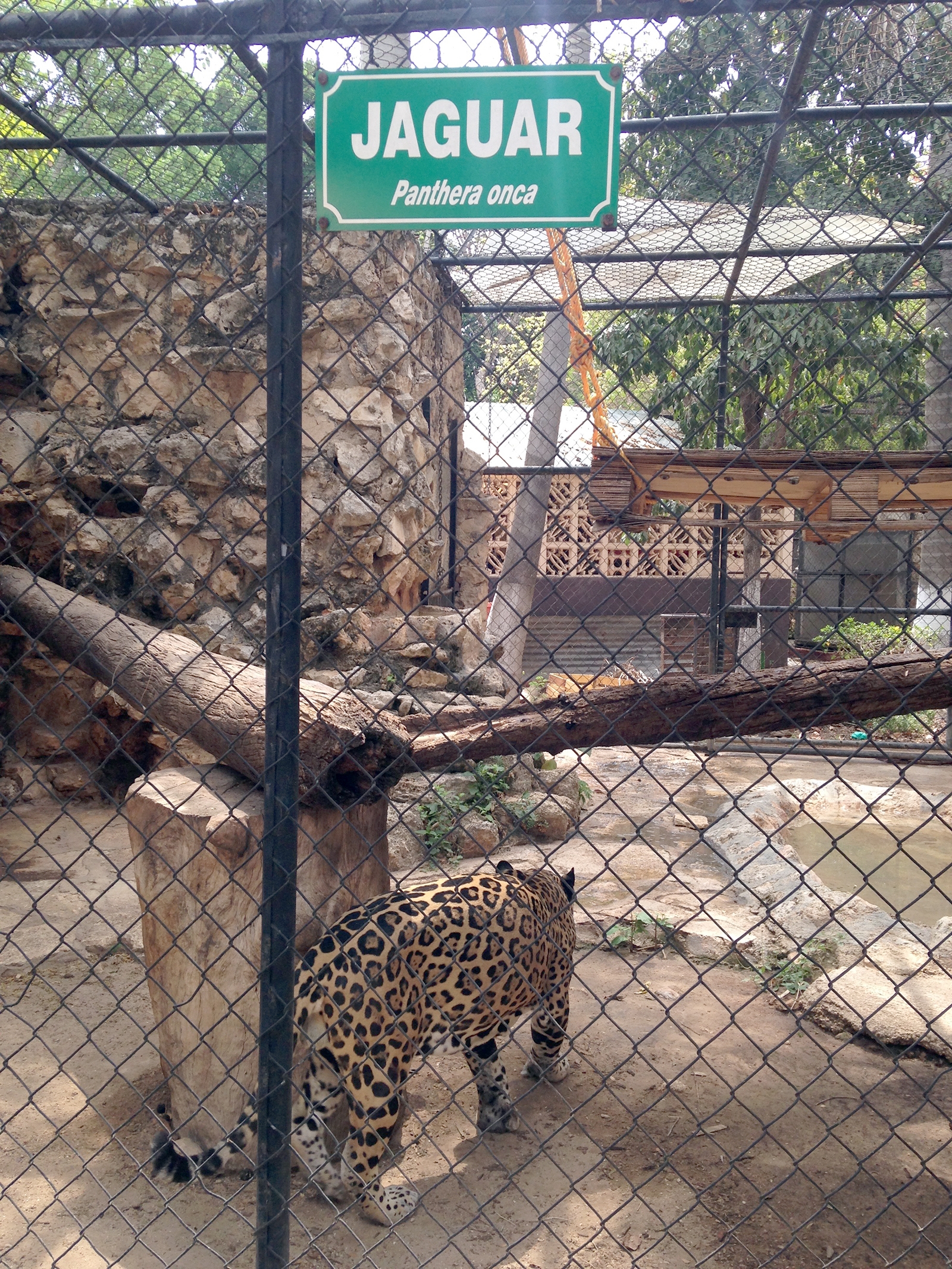 Profepa exige medidas urgentes
