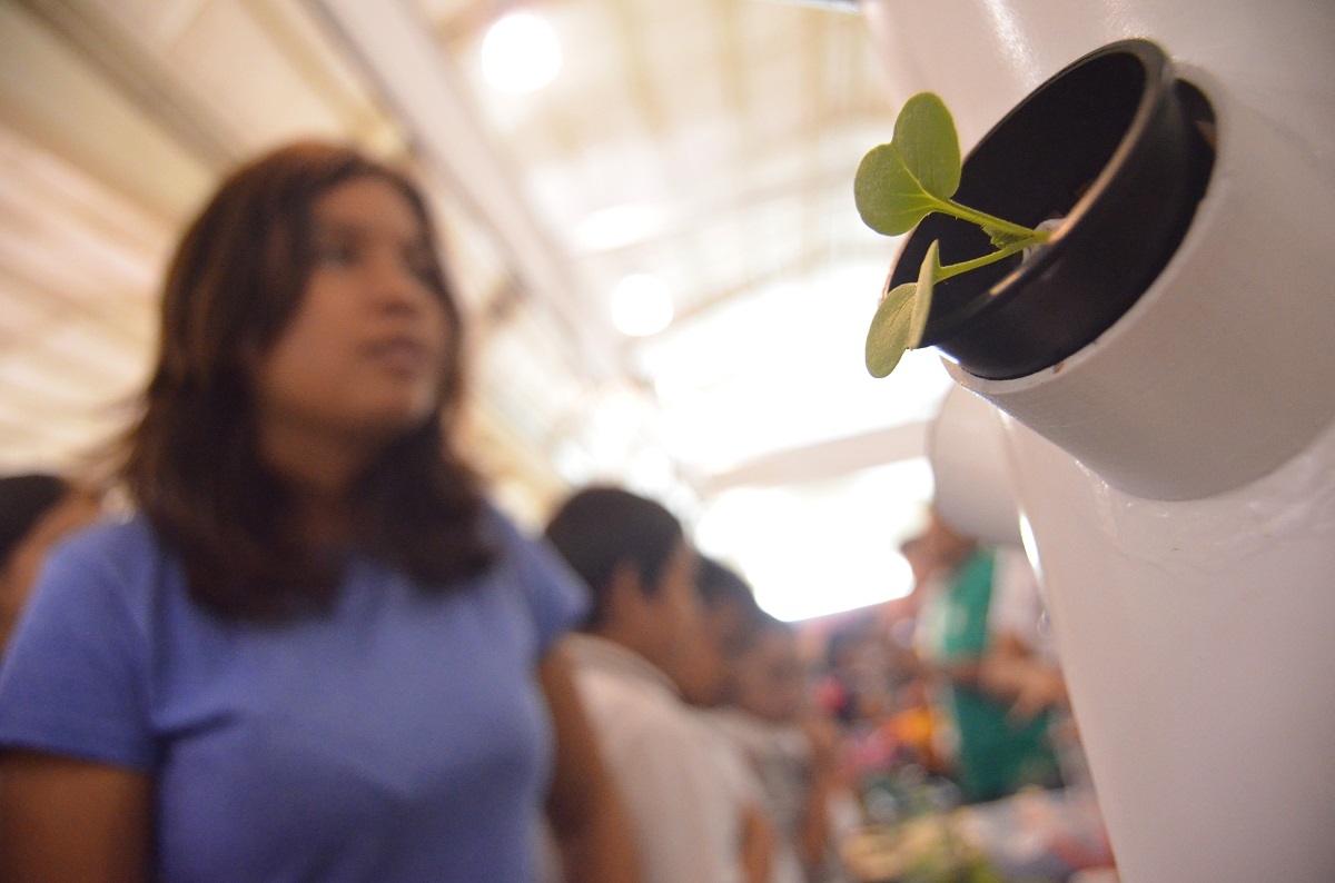 Desarrollo con sustentabilidad