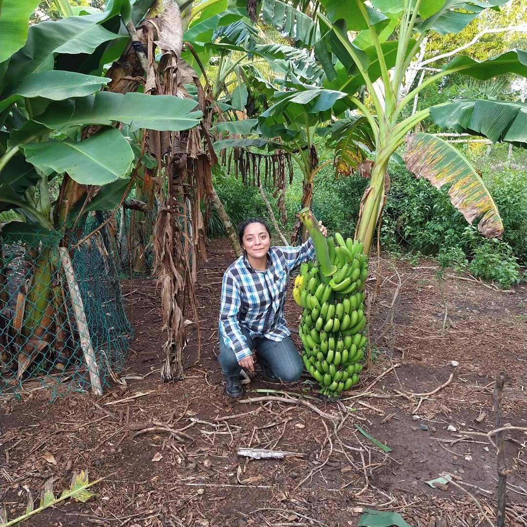 Alistan Primera Feria de Productoras Locales en El Apapacho 