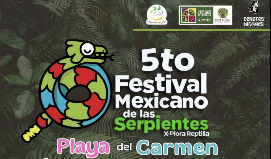 Playa del Carmen será sede del Festival Mexicano de las Serpientes 