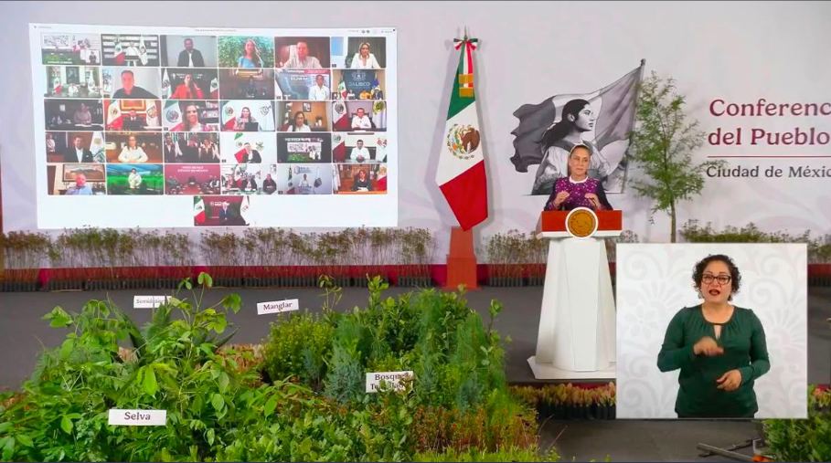 QRoo se suma a la Jornada Nacional de Reforestación 2026 para restaurar ecosistemas en el sur del estado