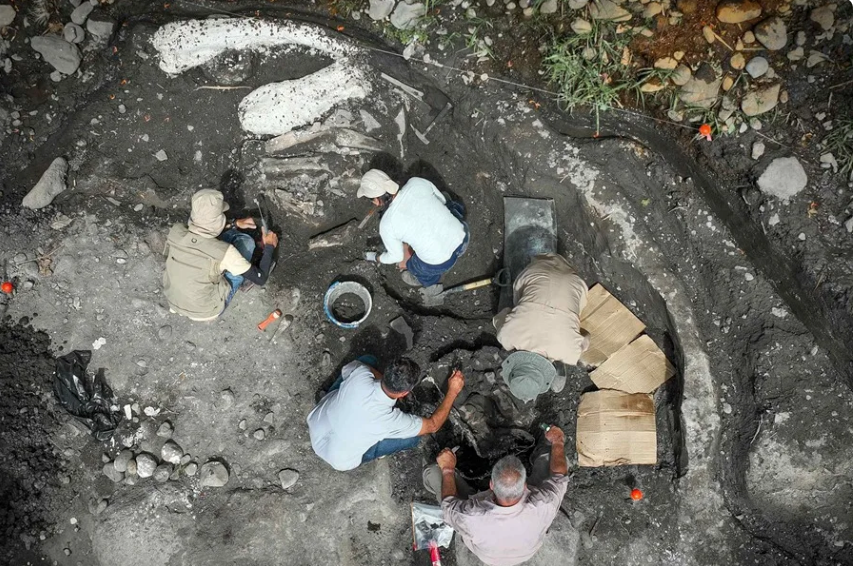 Hallan fósiles de perezoso gigante y un mastodonte de al menos hace 10 mil años en Costa Rica