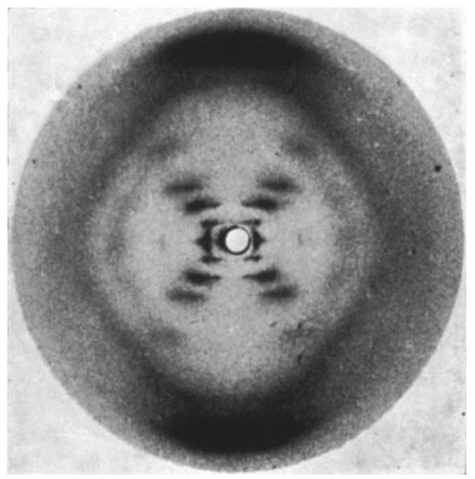 La Científica del ADN en el Día Internacional de la Ciencia por la paz y el desarrollo