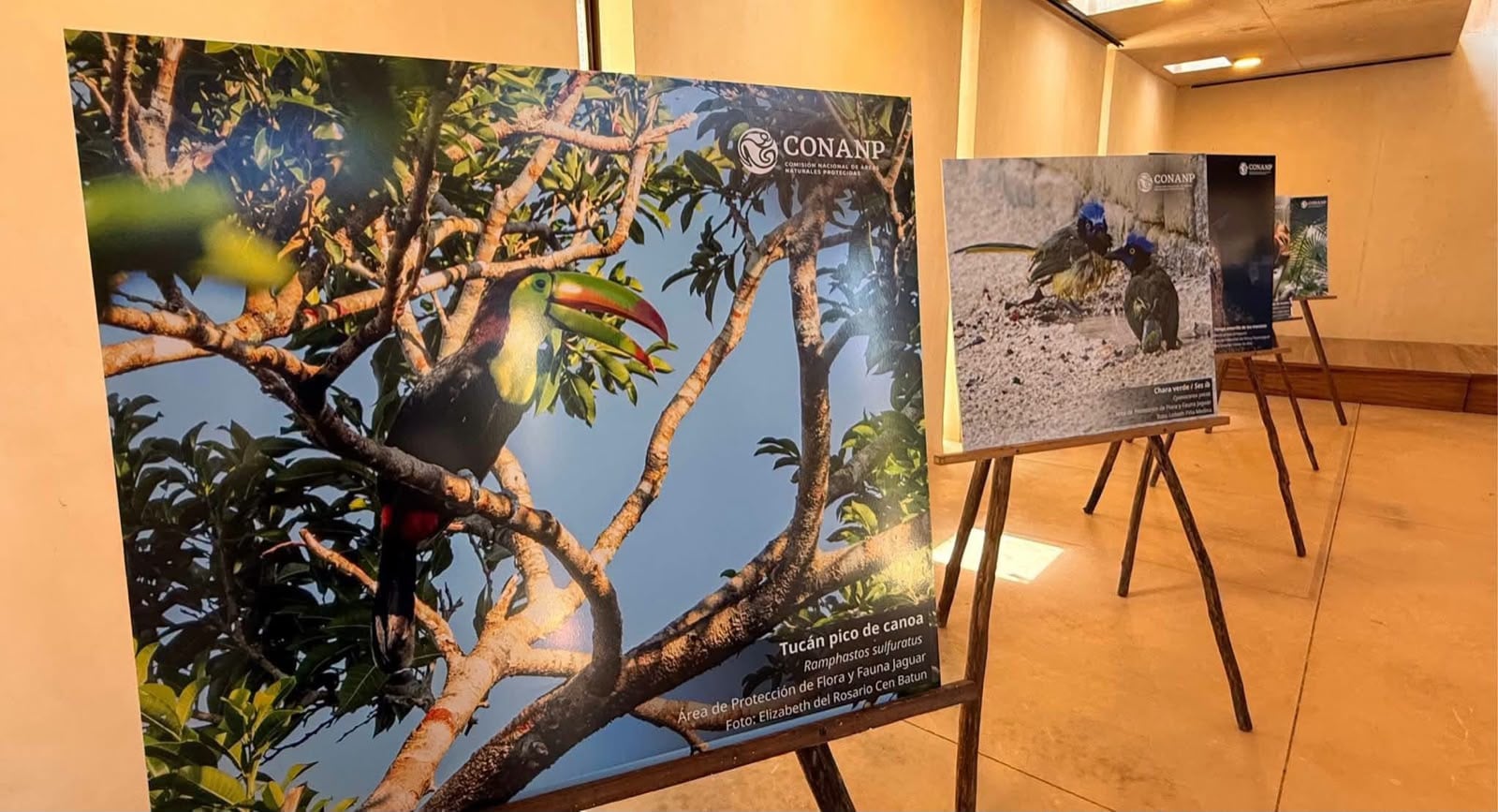 Exhiben en fotos la riqueza natural del Parque Nacional Tulum