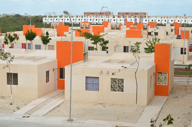 Desarrolladores inmobiliarios serán obligados a sembrar árboles, si pasa iniciativa