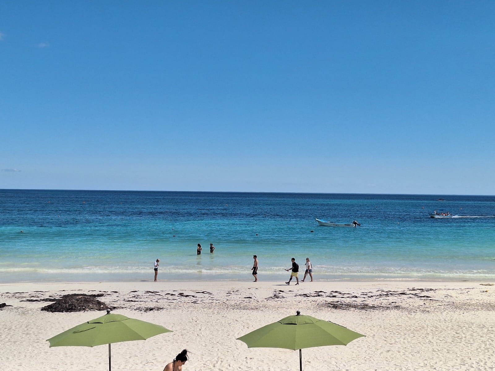Frente frío aleja el sargazo de las costas de Tulum
