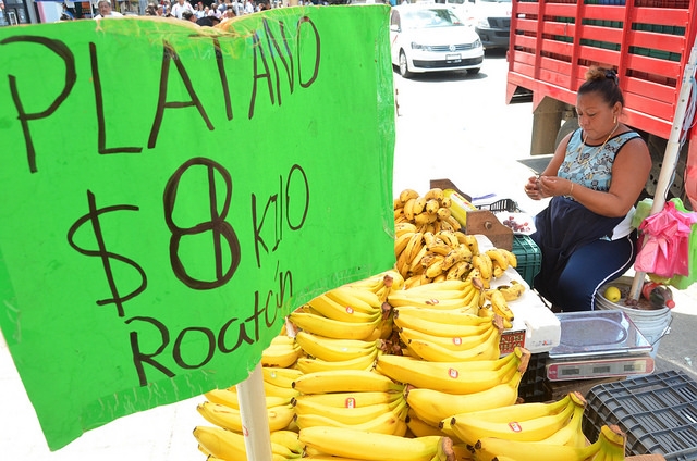 Productores, empresas y gobierno donan 180 toneladas de alimento a familias necesitadas