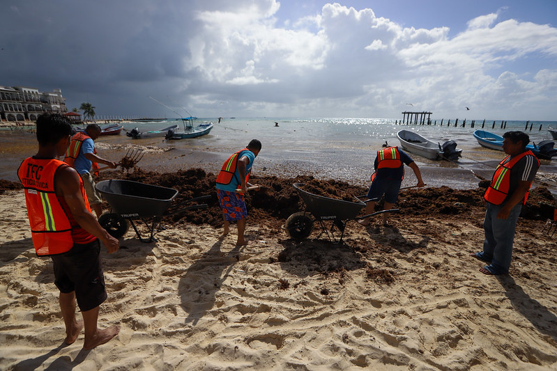 Yucatán será sede del Foro de Innovación Tecnológica Aplicada al Sargazo