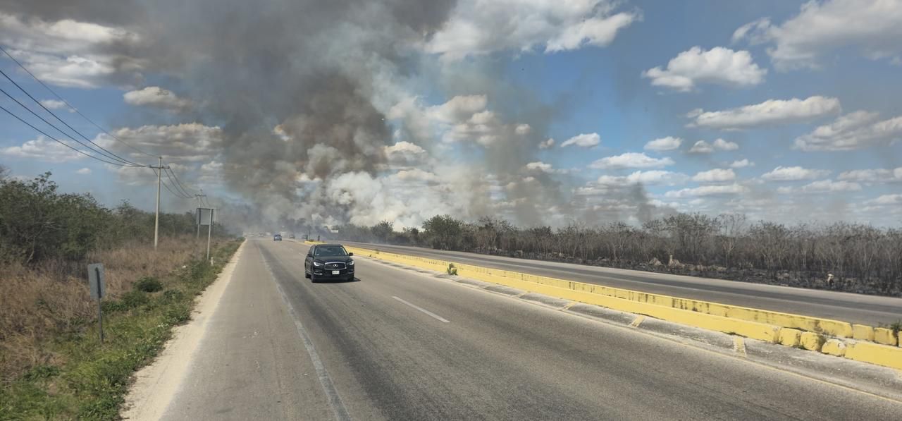 En abril y mayo predominarán altas temperaturas y rachas de viento en Yucatán: Procivy