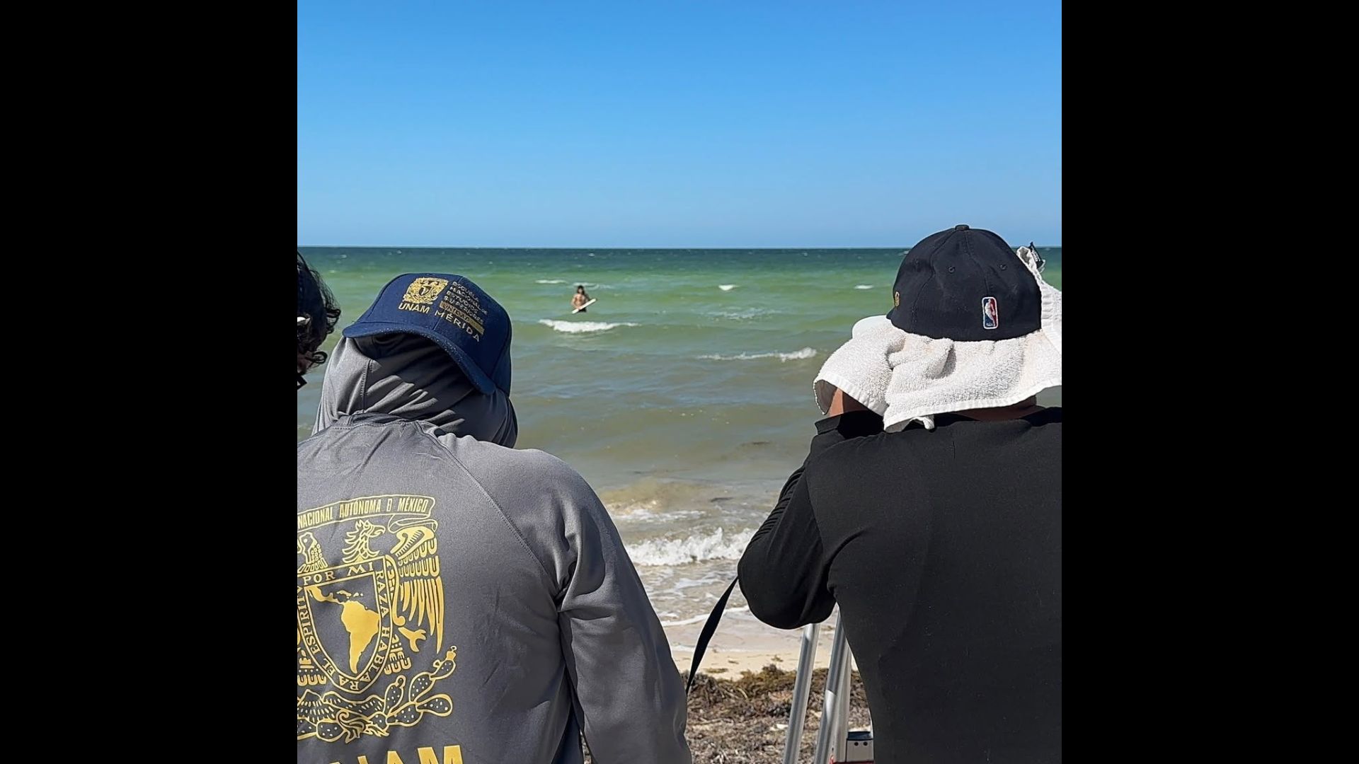 Estrategias de monitoreo participativo para la gobernanza ambiental en Yucatán 