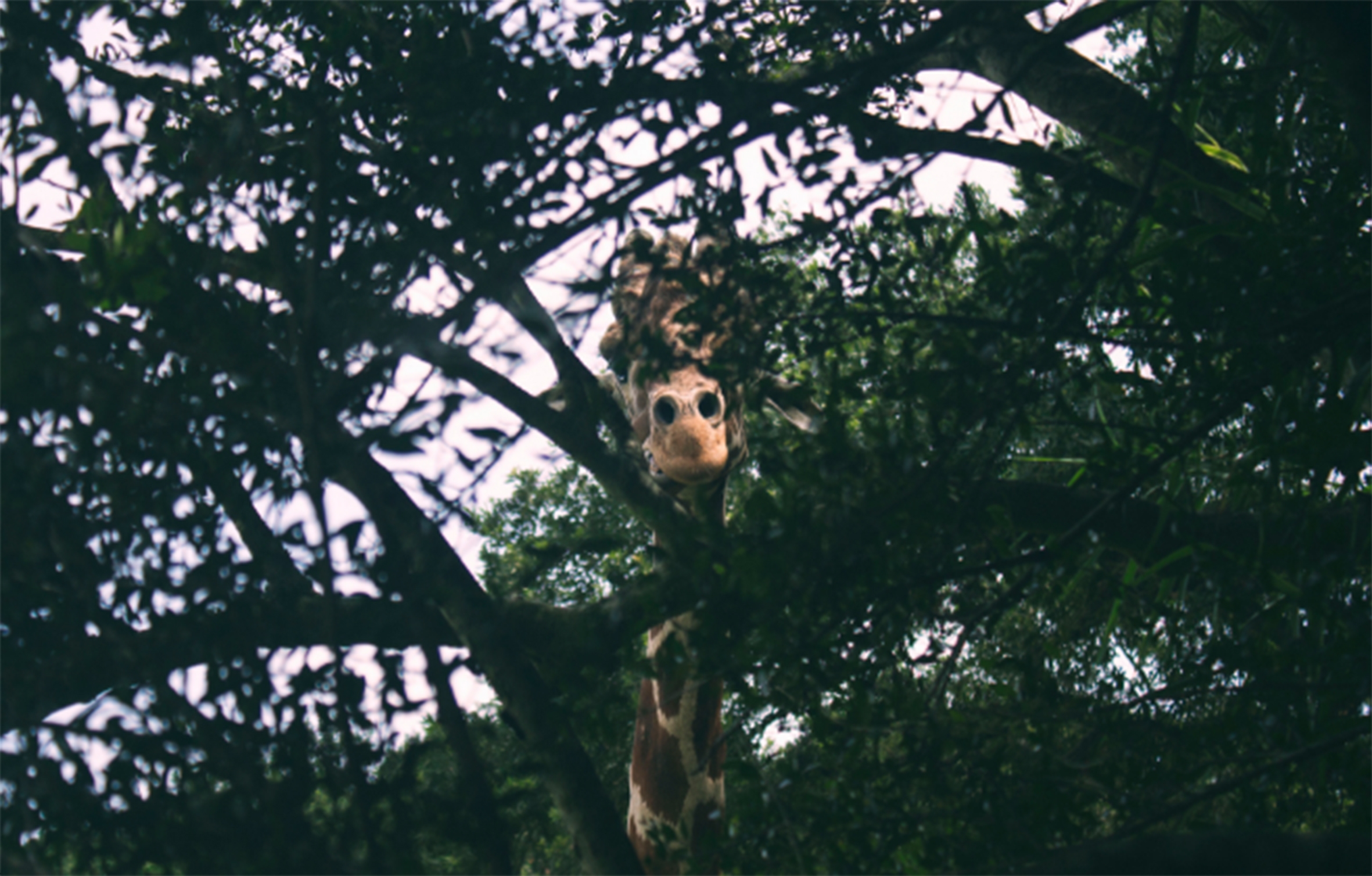 Comunidades entre máquinas