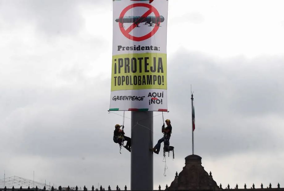 Greenpeace escala asta bandera del Zócalo para protestar contra planta de amoniaco en Topolobampo