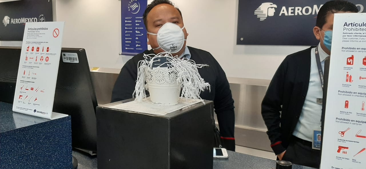 Aeropuerto de Mérida aplica protocolo de Sanidad Internacional