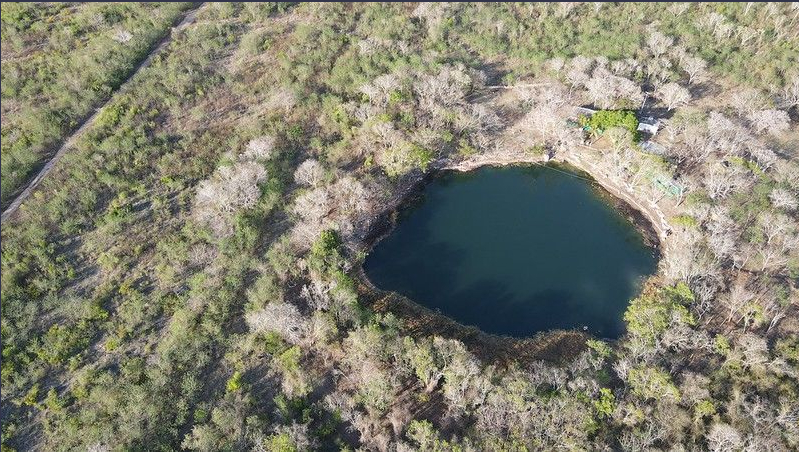SCJN atrae juicios sobre cenotes, abejas y expansión de granjas porcícolas