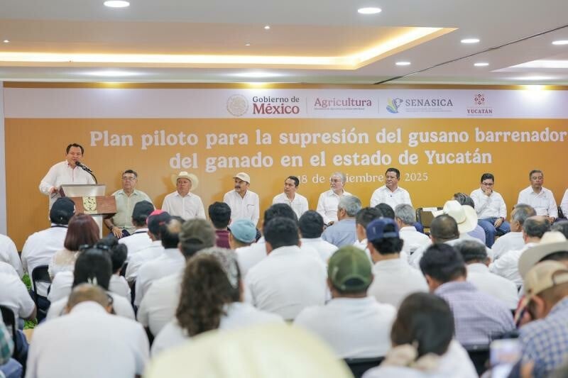 Díaz Mena presenta plan contra el gusano barrenador en el ganado de Yucatán