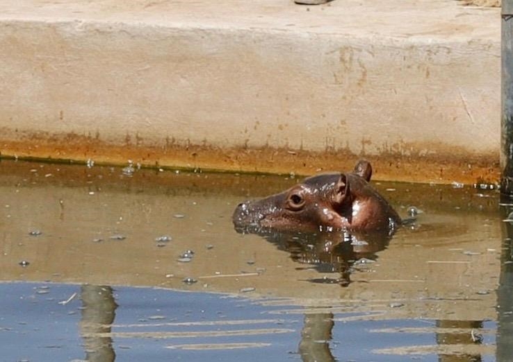 Primer hospital del Insabi inicia actividades en Tekax