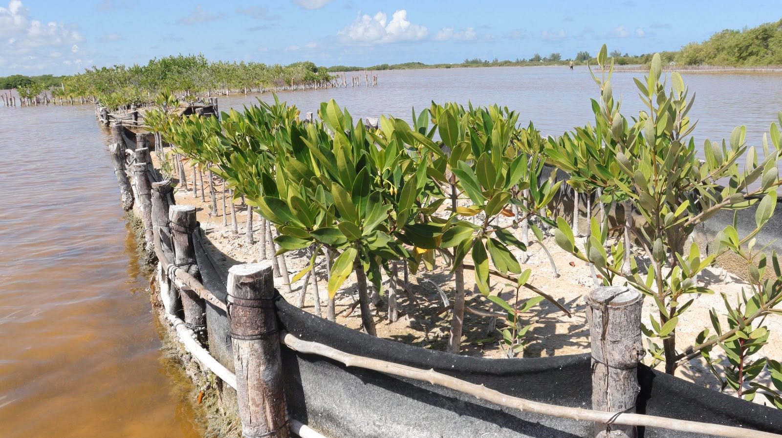 Consolidan Herencia Maya, millonaria inversión para 11 áreas naturales protegidas de Yucatán