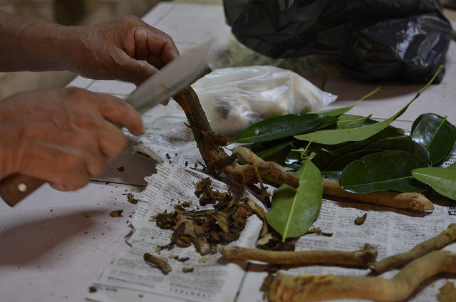 Discutirán bondades de flora y fauna yucatecas, en conferencia
