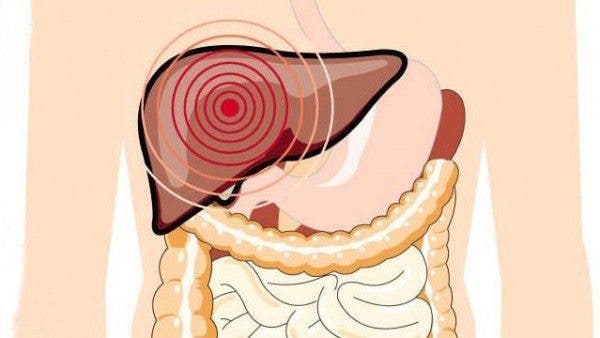 Desarrollan en México el primer ''hígado en un chip'' de Latinoamérica para evaluar fármacos