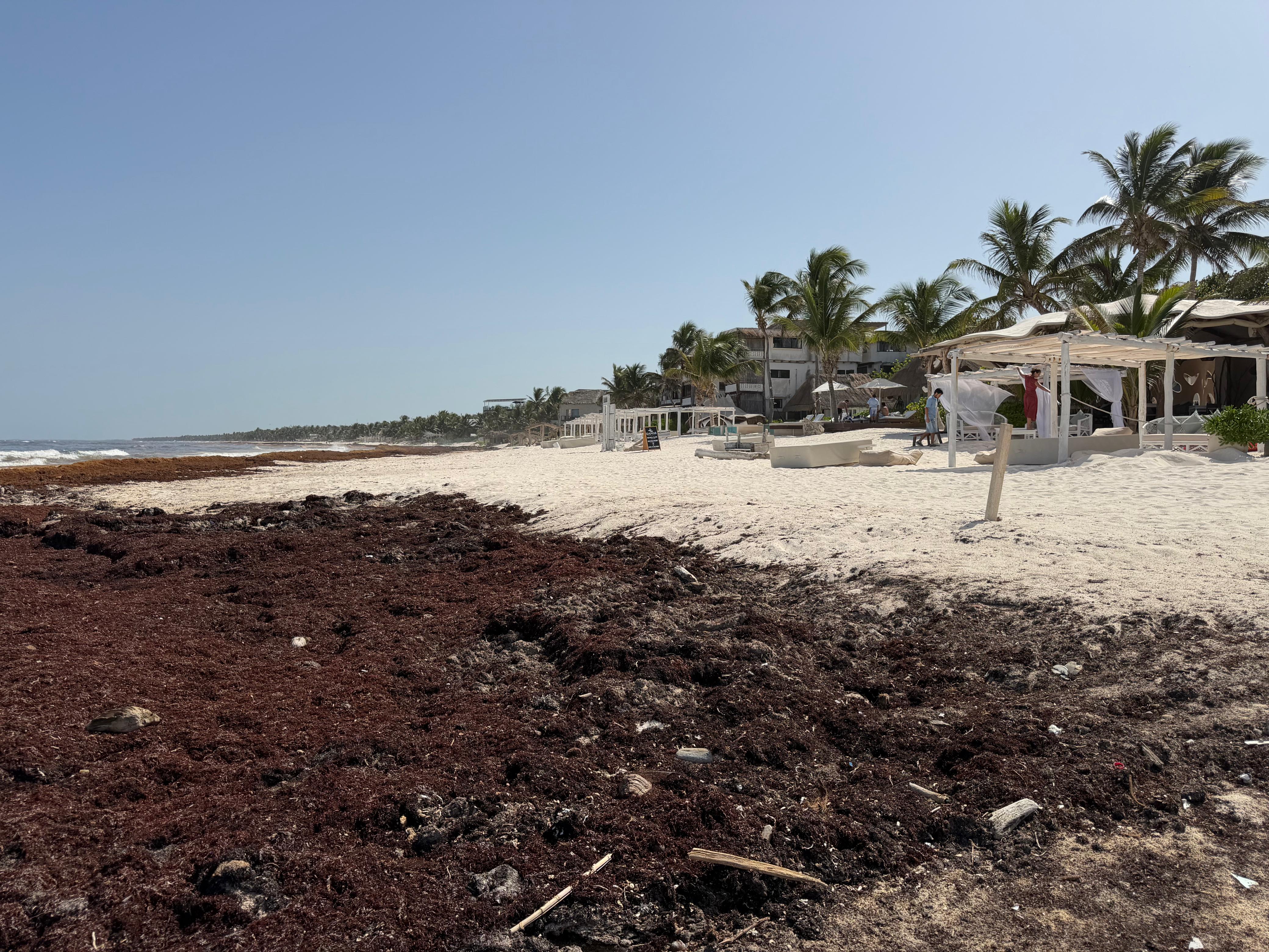 Inviable, que hoteles operen sólo en temporadas sin sargazo: AHT