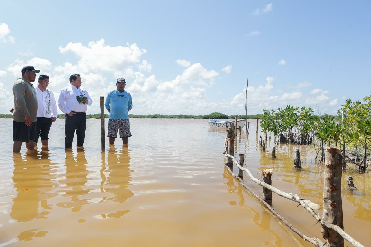 Yucatán lanza estrategia integral para restaurar ecosistemas costeros