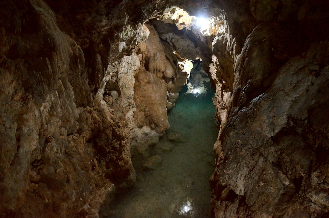 Aprueba Seduma mega granja, pese a rechazo