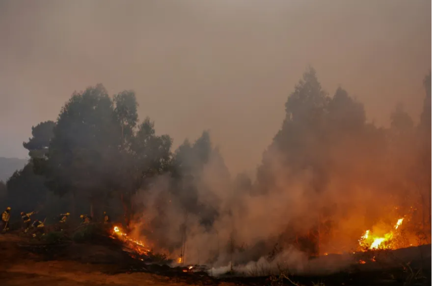 Detienen a sospechoso de iniciar un fuego intencionalmente en la zona de incendios en Chile