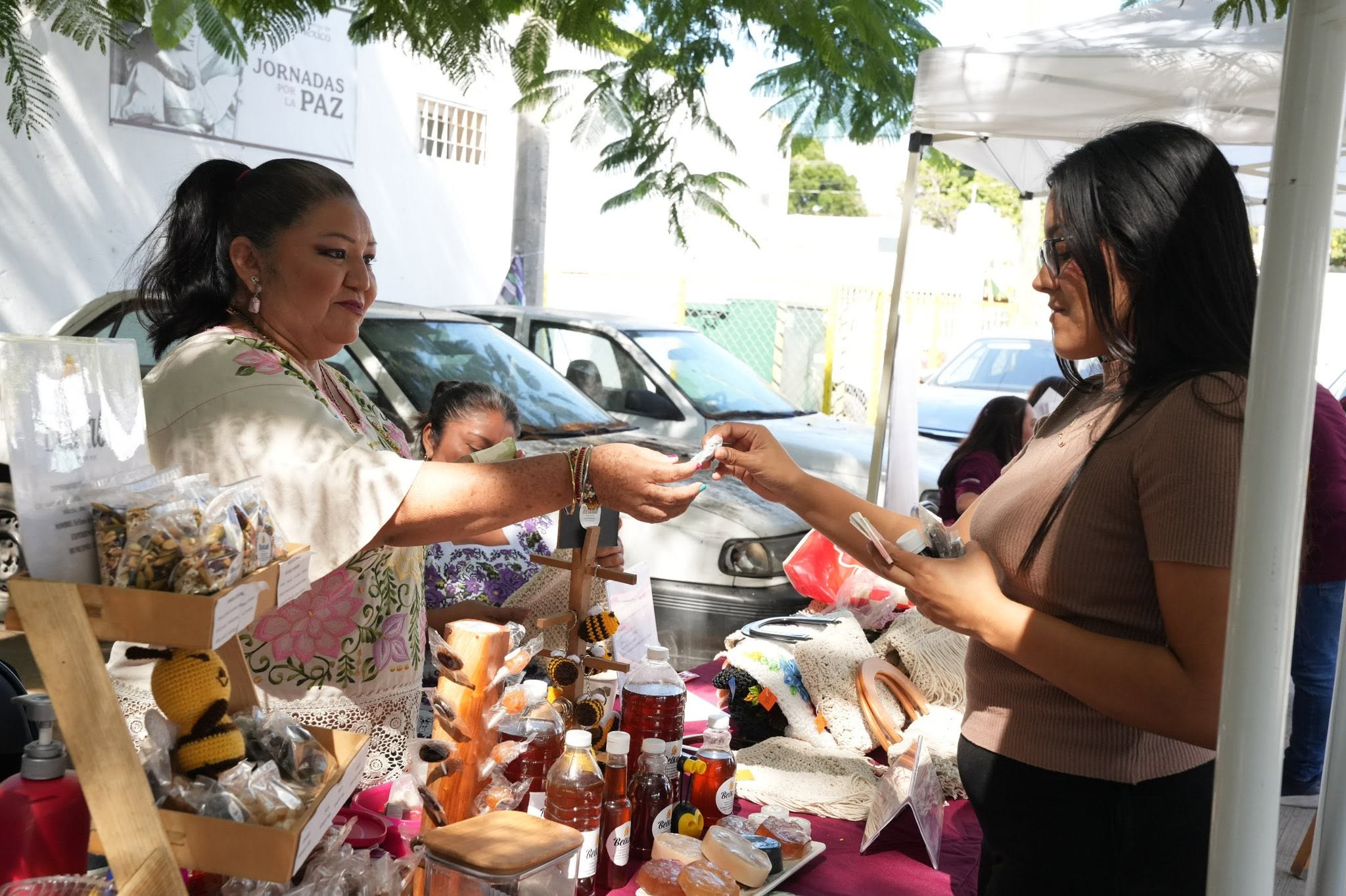 Yucatán mejora en competitividad para las mujeres, pero persiste informalidad: IMCO 