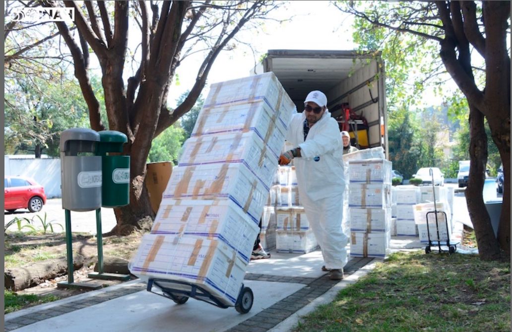 Llegan 920 cajas de colección osteológica de salvamento arqueológico del Tren Maya a la DAF