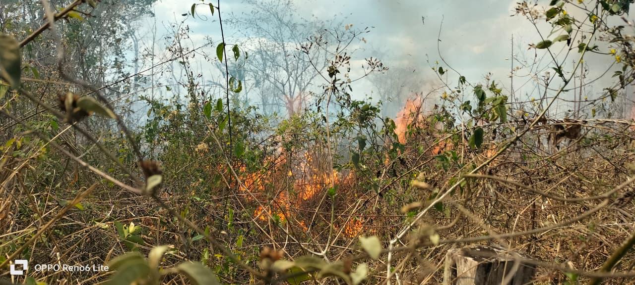 Incendios han dejado 44 hectáreas dañadas en Quintana Roo este 2026