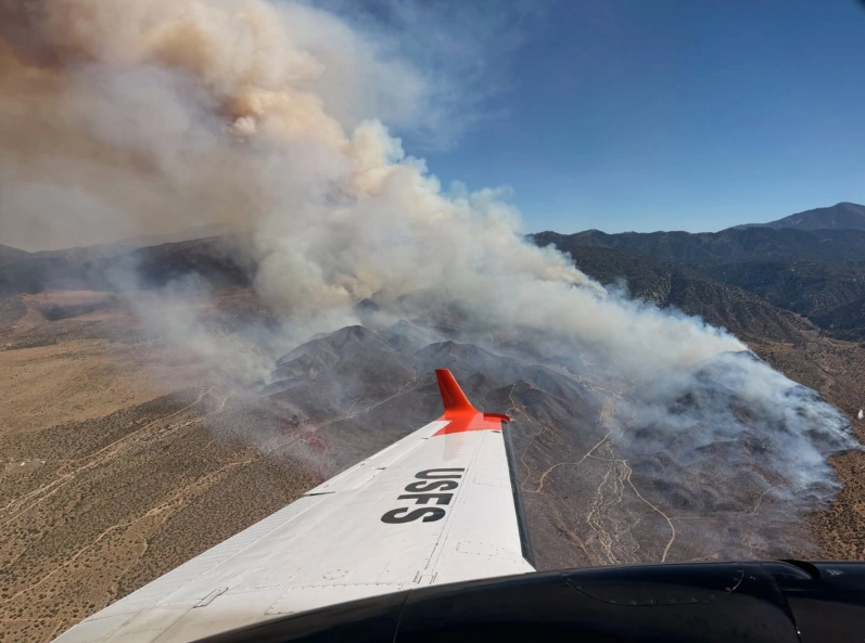 Incendio forestal obliga a evacuar zona del condado de Los Ángeles
