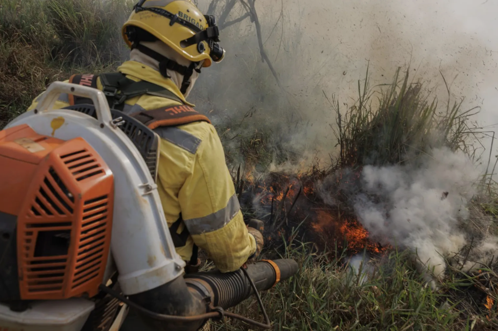 Las quemas controladas reducen en 92 por ciento el riesgo de incendios graves