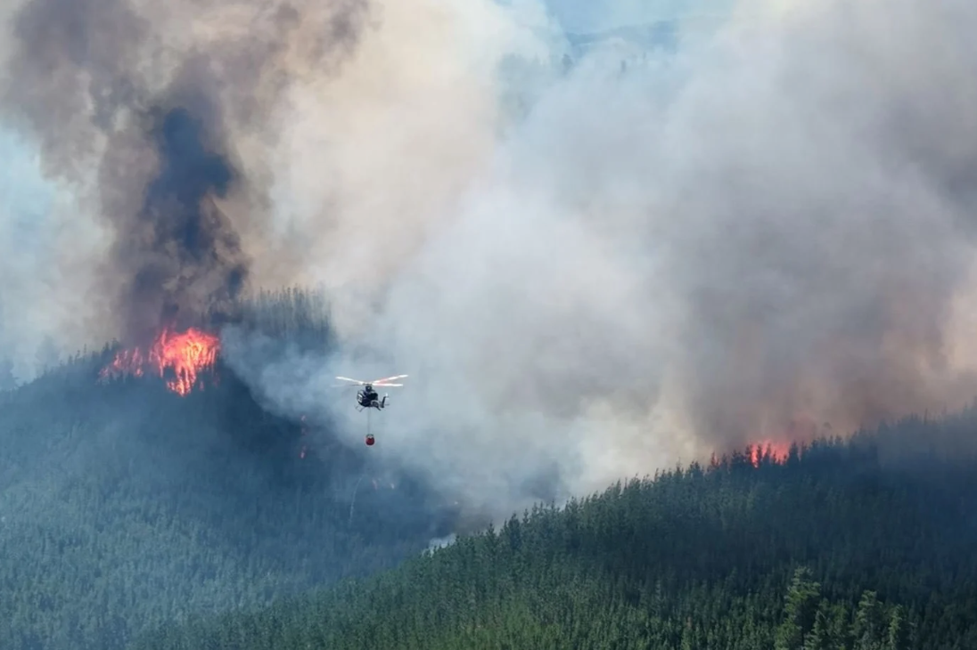 Decenas de personas son evacuadas por incendios forestales en la Patagonia de Argentina
