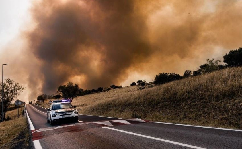 Incendios devastan la comunidad de Madrid; activan situación de emergencia