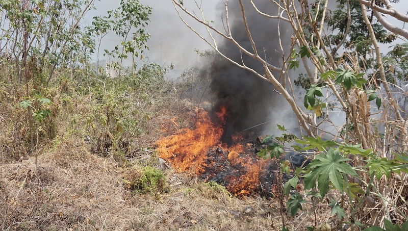 Ya son 423 incendios que han afectado más de siete mil hectáreas en Yucatán