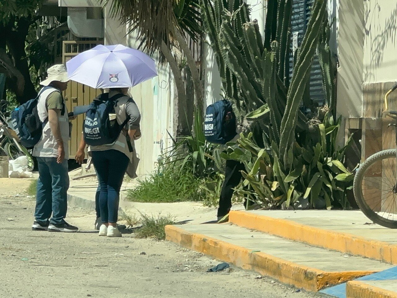 Personal del Inegi ya recorre las calles de QRoo para la Encuesta Intercensal 2025