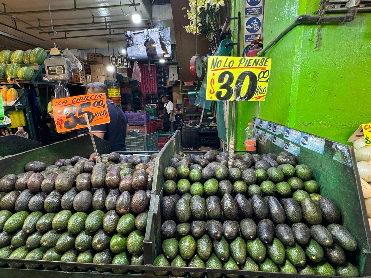 Inflación se desacelera a 3.55 por ciento en la primera quincena de junio: Inegi