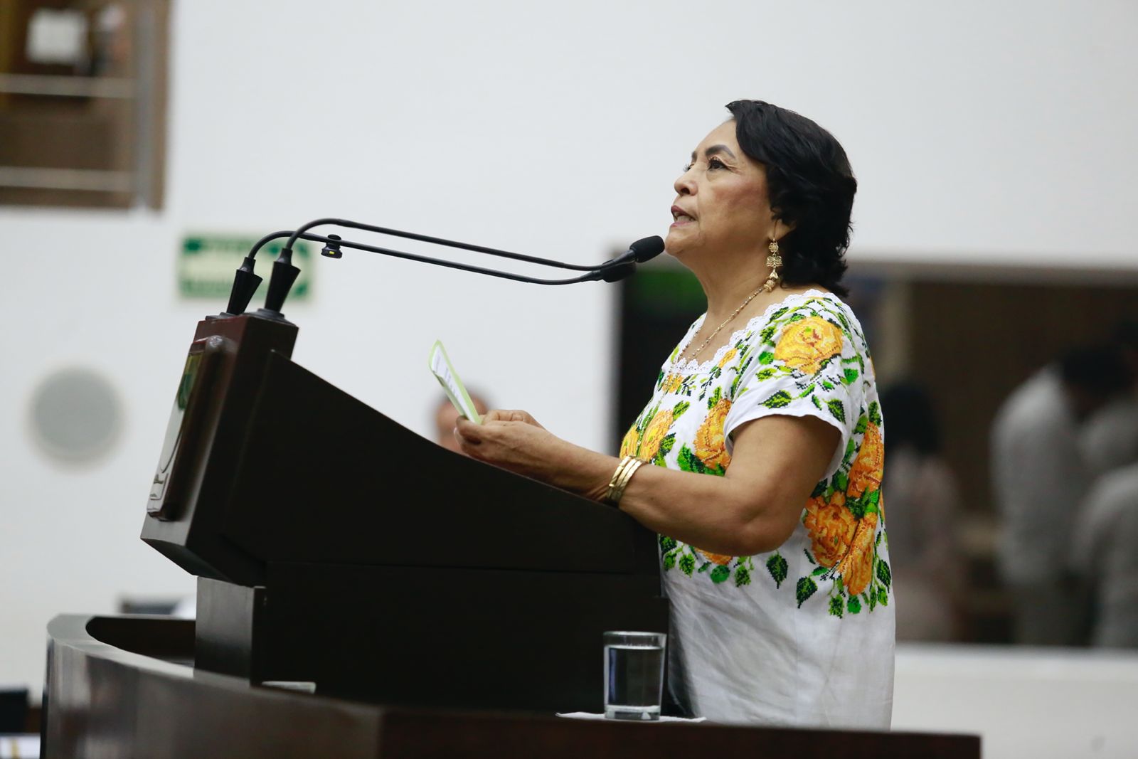 Presentan iniciativa en el Congreso de Yucatán para traducir asuntos legislativos al maya 