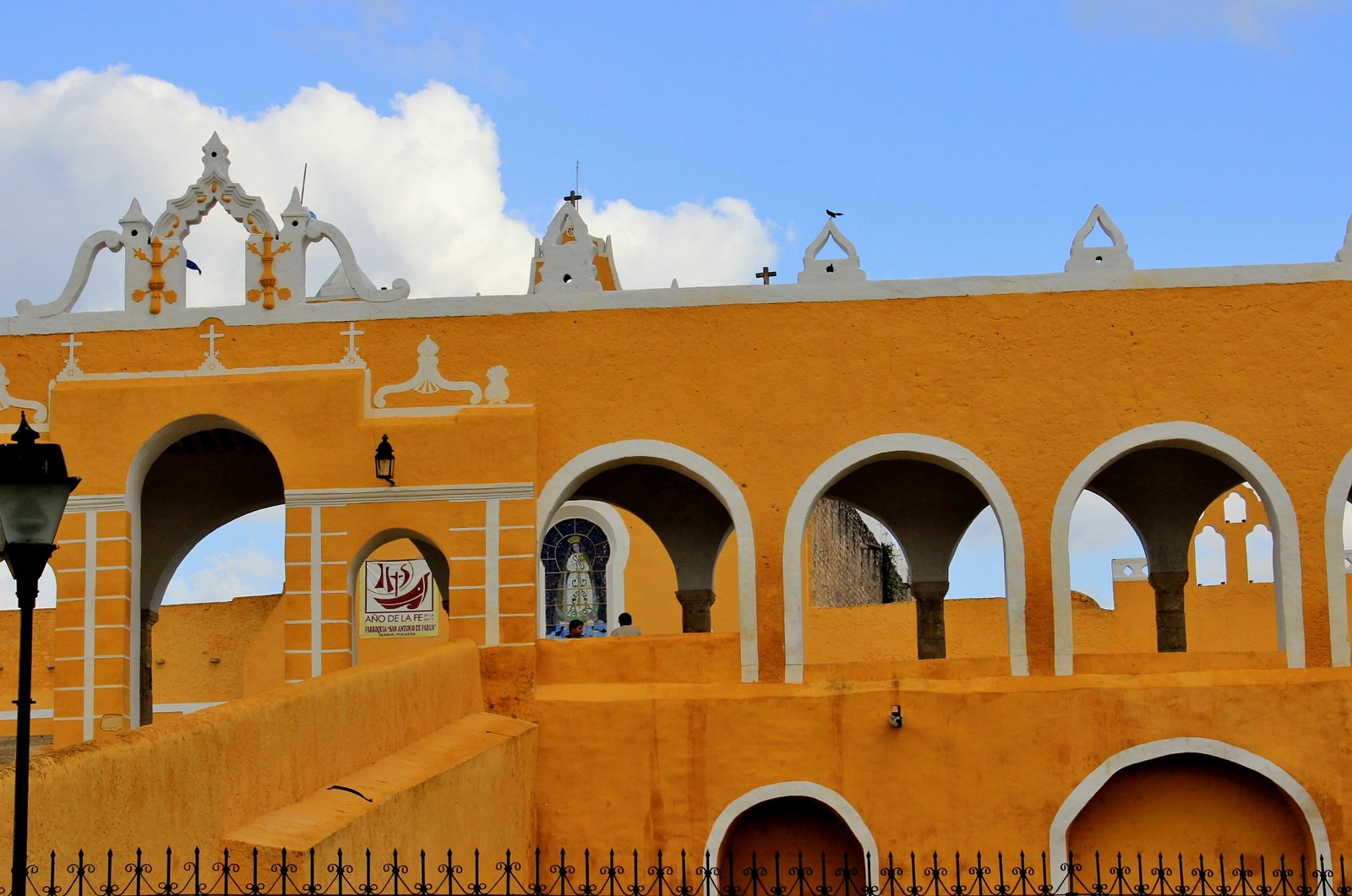 Tren maya, sin Manifestación de Impacto Ambiental