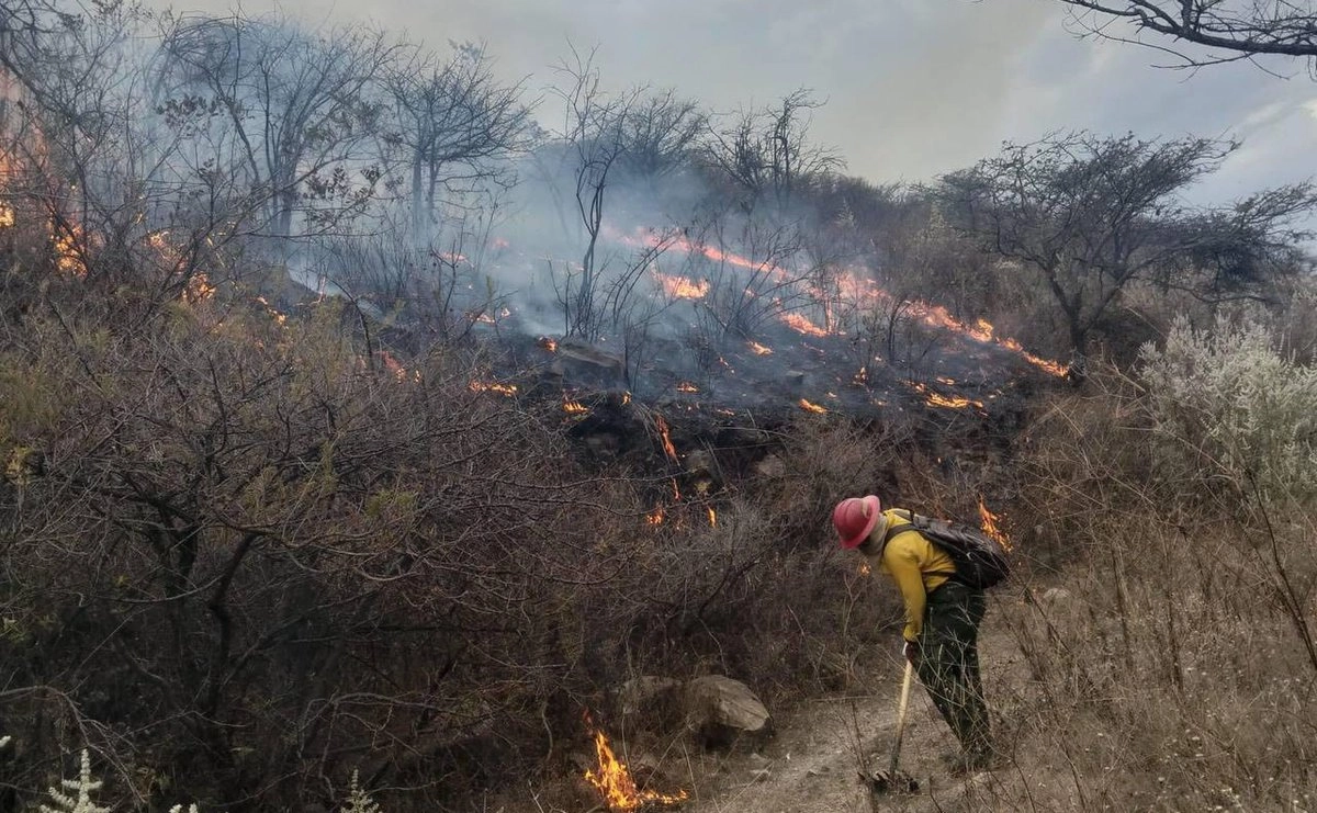 Jalisco: Incendio en La Primavera deja al menos 200 hectáreas afectadas