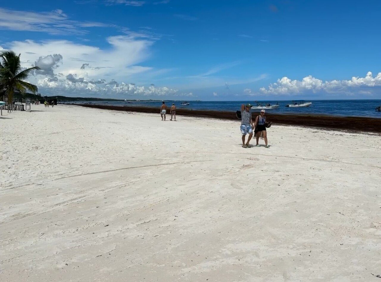 Septiembre rompió récords en arribo de sargazo en Tulum: Zofemat