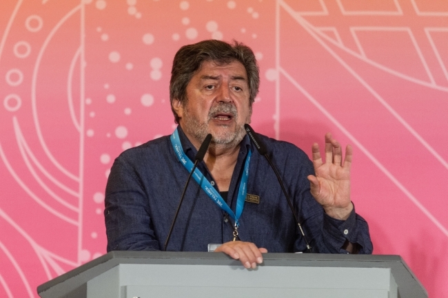 Tren Maya: colapso ecológico