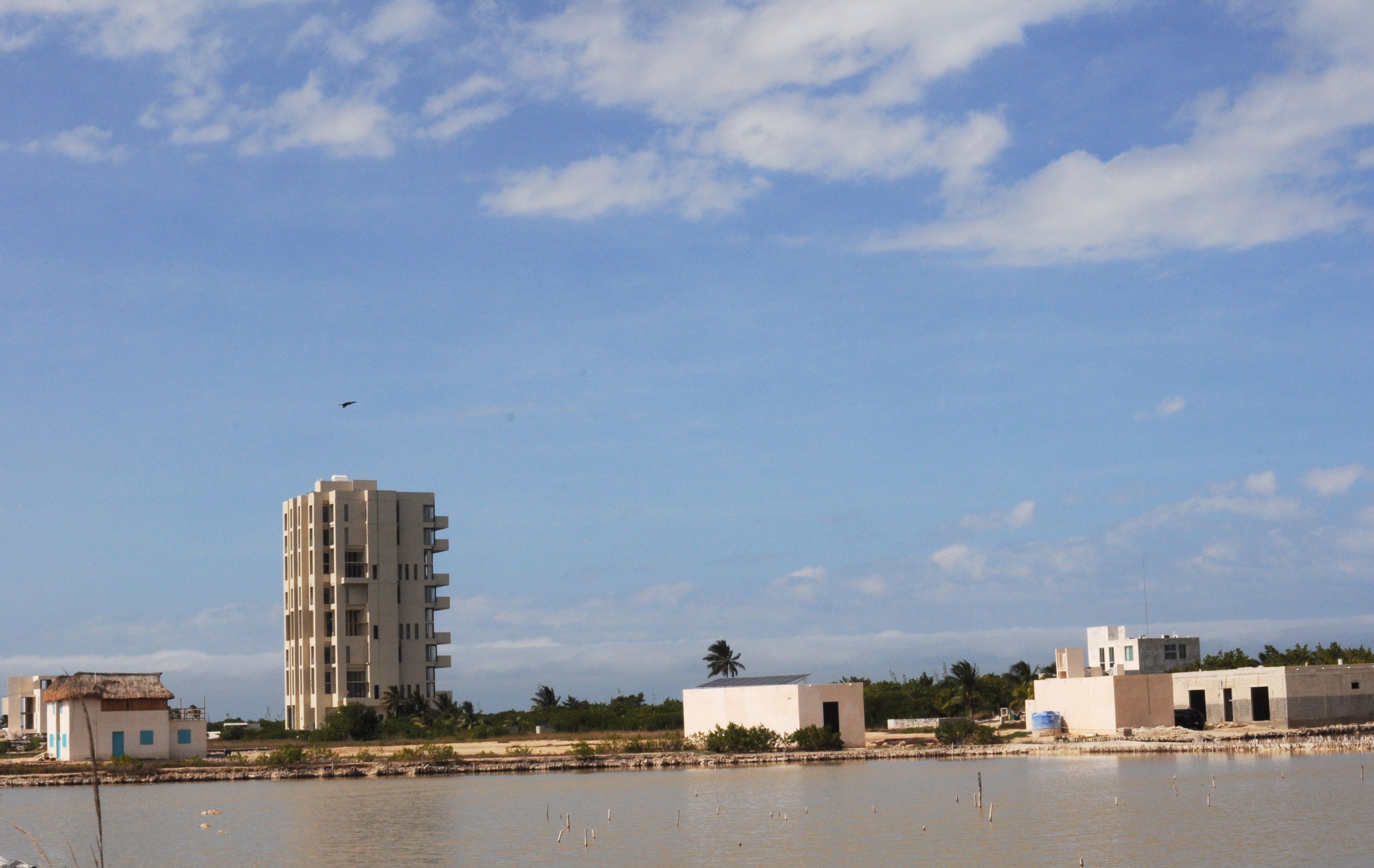 Erosión costera