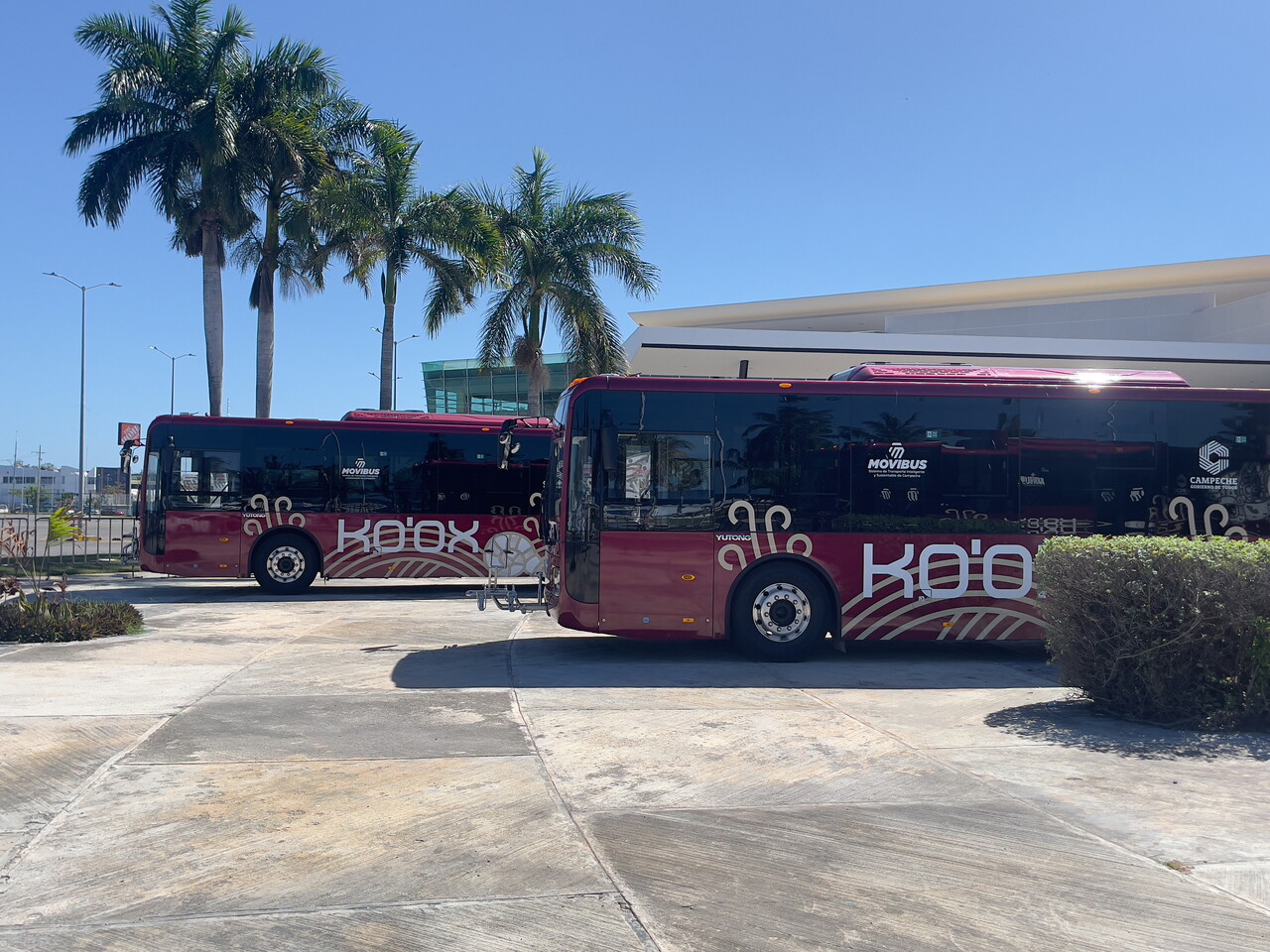 La Jornada Maya | Campeche | La Jornada Maya | No se ha cancelado compra de autobuses para transporte Ko'ox en Campeche, sigue el pedido: UCS