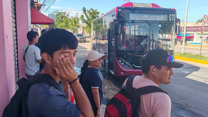 Ko’ox continuará con servicio gratuito hasta nuevo aviso en Campeche; telemetría no funciona