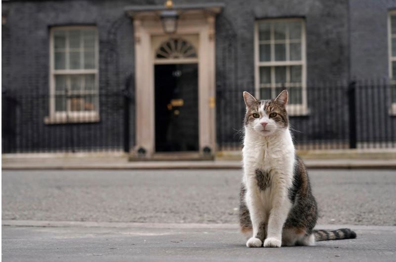 Larry, el gato de Downing Street, cumple 15 años como símbolo felino de estabilidad política
