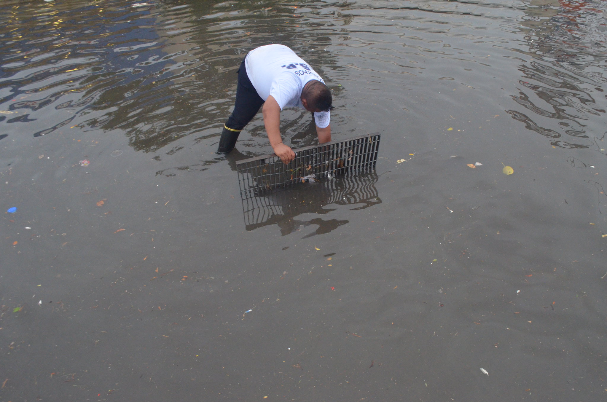 Propondrán en Congreso Yucatán comité de apoyo para Las Américas