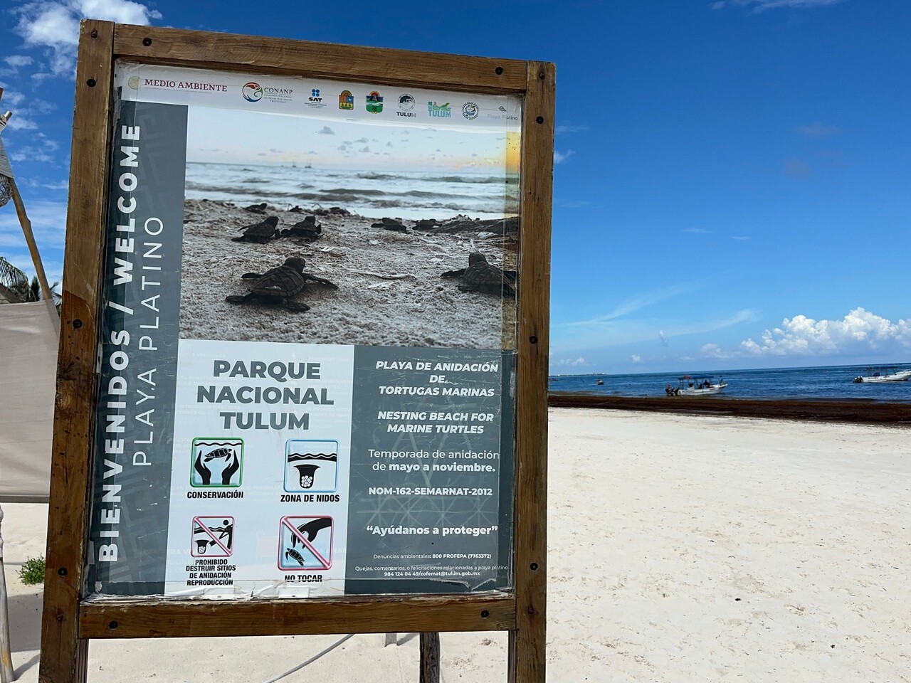 Locatarios de la zona arqueológica de Tulum acusan a Grupo Mundo Maya de no respetar acuerdos
